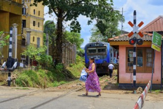 Woman crossing a railway track in front a train, Kandy, Sri Lanka