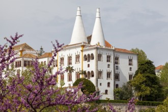 PalÃ¡cio Nacional de Sintra (also known as PalÃ¡cio Nacional or PaÃ§o Real or PalÃ¡cio da Vila, in