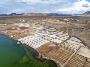 Salt mining plant, Salinas de Janubio with green Laguna de Janubio, near Yaiza, aerial view,