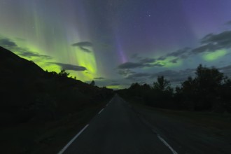 Road with northern lights at dawn at SÃ¸rfolda Fjord near KjerringÃ¸y between BodÃ¸ and SÃ¸rfold in