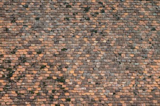 Clay tile roof, Herberstein Castle, Herberstein, Styria, Austria