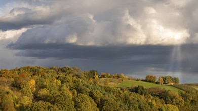 Cultural landscape in southern Burgenland in the late afternoon, Kukmirn, Burgenland, Austria