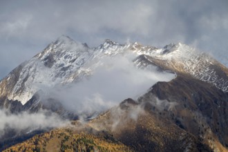 Hohe Warte, Ottenspitze and Gammerspitze in autumn, seen from larch meadows above Vinaders, Tuxer