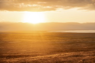 View of savanna landscape at sunrise, atmospheric morning light, view of Ngorongoro Crater, back