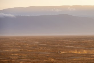 Safari vehicle, Toyota Landcruiser off-road vehicle drives in Ngorongoro Crater at sunrise,