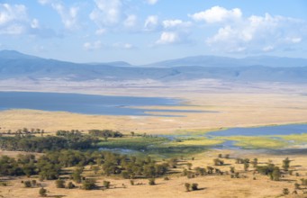 View of savanna landscape and lakes in the Ngorongoro Crater from the crater rim in the evening