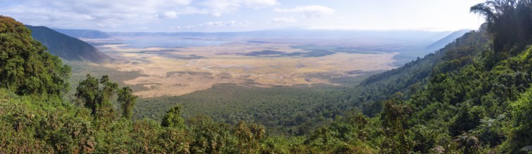 Panorama, view of Ngorongoro Crater, Crater Viewpoint, forest and savanna landscape, Ngorongoro