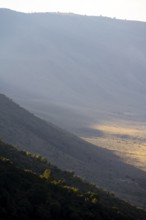 Mountain slopes of Ngorongoro Crater, Crater Viewpoint, in the evening light, Ngorongoro