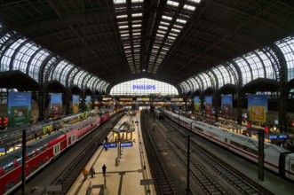 Interior view, ICE, Intercity-Express, RE, Regional-Express, trains, tracks, Philipps, logo,