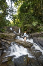 Tourist at Derema Waterfall, flows through dense vegetation, tropical rainforest in Amani Nature