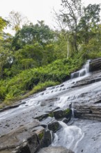 Derema Waterfall flows through thick vegetation, tropical rainforest in Amani Nature Forest