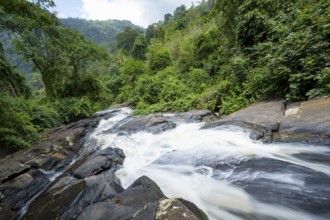Waterfall flows through thick vegetation, tropical rainforest in Amani Nature Forest Reserve, long