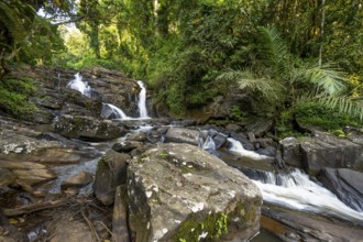 Derema Waterfall flows through thick vegetation, tropical rainforest in Amani Nature Forest