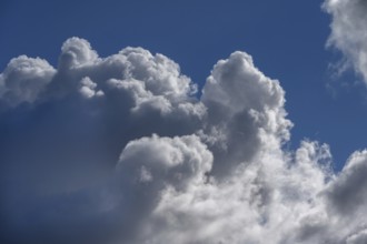 Rain cloud (Nimbostratus), Mecklenburg-Western Pomerania, Germany