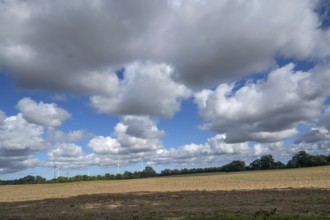 Landscape with wind turbines, cluster clouds (Cumulus), Mecklenburg-Western Pomerania, Germany