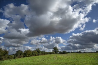 Heap clouds (Cumulus), Mecklenburg-Western Pomerania, Germany