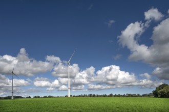 Wind turbines in a meadow, cluster clouds (Cumulus), Mecklenburg-Western Pomerania, Germany