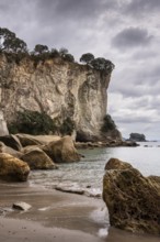 Landscape with sea, sandy beach, rocks and cliffs in New Zealand. Stingray Bay, Hahei, Coromandel