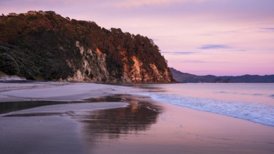 Landscape with sea and sandy beach in New Zealand. Hahei Beach at sunrise in the morning. Hahei,