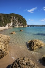 Landscape with sea, rocks and sandy beach in New Zealand. Lonely Bay, Shakespeare Cliff in the
