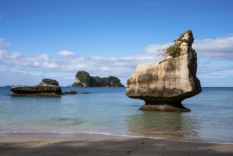 Cathedral Cove in New Zealand. Sea, sandy beach and limestone cliffs. In front right is the Smiling