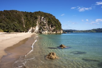 Landscape with sea and sandy beach in New Zealand. Lonely Bay, Shakespeare Cliff in the back, Cooks