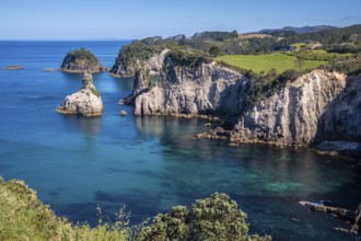Landscape with sea and cliffs in New Zealand. Te Pare Point, Hahei, Coromandel Peninsula, Waikato,