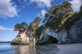 Cathedral Cove in New Zealand with ocean, sandy beach and limestone cliffs. Cathedral Cove, Hahei,
