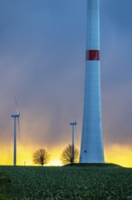 Königshovener Höhe onshore wind farm, on the A44 motorway near Bedburg, in front of the Jackerath