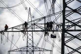 Work on a 380 kV high-voltage overhead line, new construction, along the A57 motorway, near
