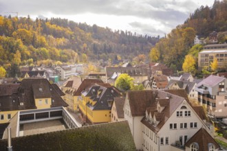 Scattered buildings with various roof shapes in a hilly landscape in autumn, Calw, Black Forest,