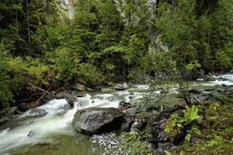 Diosaz mountain river in the gorge, Gorges de la Diosaz, Les Houches, Chamonix-Mont-Blanc,
