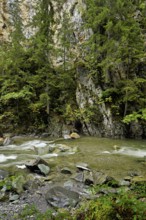 Diosaz mountain river in the gorge, Gorges de la Diosaz, Les Houches, Chamonix-Mont-Blanc,