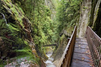 Wooden walkway in the Durnand Gorge, Les Valettes, Canton of Valais, Switzerland
