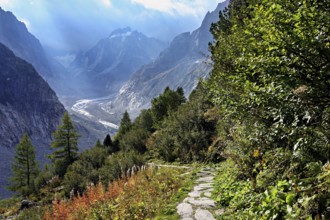 Hiking trail in autumn-colored surroundings with the Mer de Glace glacier, Mont-Blanc,
