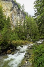 Diosaz mountain river in the gorge, Gorges de la Diosaz, Les Houches, Chamonix-Mont-Blanc,