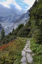 Hiking trail in autumn-colored surroundings with the Mer de Glace glacier, Mont-Blanc,