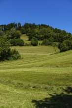 Picturesque alpine meadow landscape on PfÃ¤nder near Fluh, Bregenz, Vorarlberg, Austria