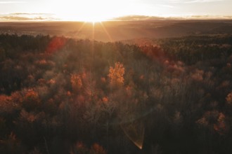 Autumn forest at sunset with intense shades of red and light rays, Calw district, Germany