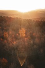 Wooded landscape with autumn trees illuminated by a powerful sunset, Calw district, Germany