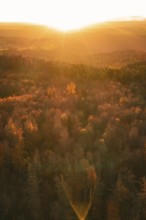 Autumn forest illuminated by a warm sunset that creates an orange atmosphere, Calw district,