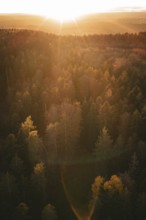 Autumn forest with sunset and warm light, Calw district, Germany