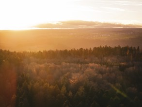 Panoramic view of the countryside with thick trees under a dramatic sunset, Calw County, Germany