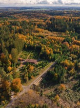 Autumn landscape with thick green and orange trees, dotted with buildings, under a cloudy sky, Calw