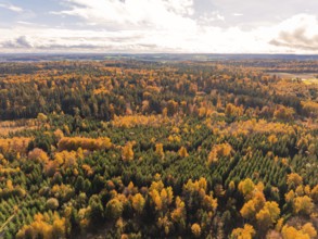 Panoramic view of an autumn landscape with colorful forests and a wide sky, Calw district, Germany