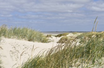 Dune landscape near Sankt Peter-Ording, Westerhever lighthouse, North Sea, Schleswig-Holstein,