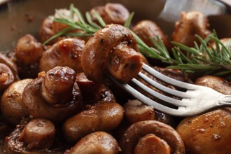 Fried mushrooms, with spices, in soy sauce, vegetarian food, homemade, no people