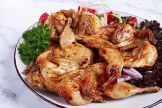 Baked quail, served on a plate with crispy lettuce leaves, fresh tomatoes and herbs, on a white