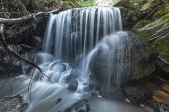 Leura Falls further down in the lush valley full of ferns and vegetation, Blue Mountains, New South