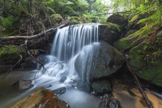 Leura Falls from further down in the lush valley full of ferns and vegetation, Blue Mountains, New